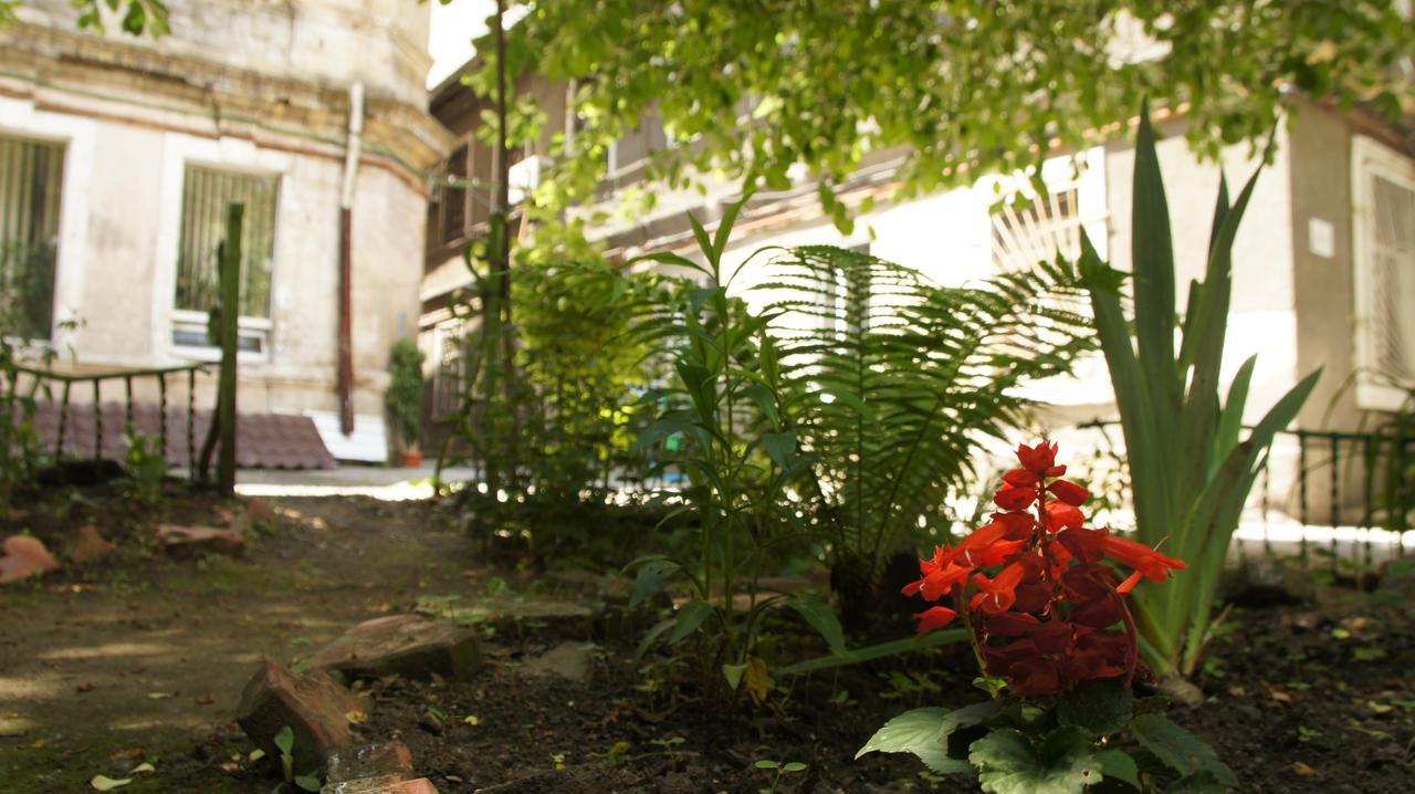 Dream Hostel Odessa エクステリア 写真